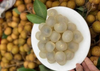 Nhãn Lồng